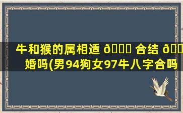 牛和猴的属相适 🐟 合结 🐯 婚吗(男94狗女97牛八字合吗)